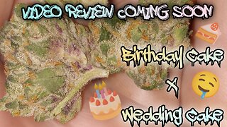 #106 Wedding Cake x Birthday Cake (Video Review Coming Soon) Muv Dispensary Product