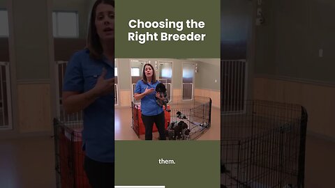 How To Choose The Right Breeder