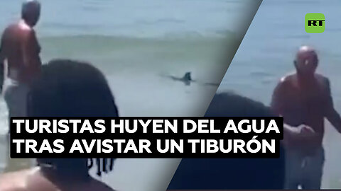 Tiburón causa pánico en playa portuguesa