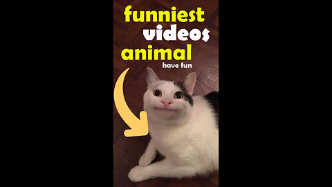 Funniest Animal Videos😂-Funny Cats😹and Crazy Dogs🐶Videos 2023!