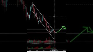 Bitcoin courses are a Bull Sign #shorts