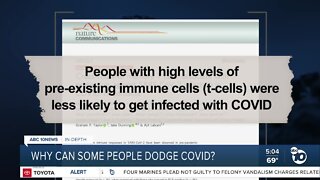 In-Depth: Why can some people dodge COVID when others fall ill?