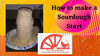 How to make Sourdough Starter