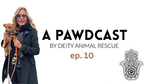 A Pawdcast Ep. 10 I Tracey Bregman