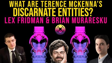 What are Terence McKenna's Discarnate Entities? - Lex Fridman and Brian Muraresku