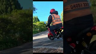 AMT 04 Twisty Hill Honda Grom #Shorts