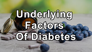 The Underlying Factors of Diabetes: A Deep Dive into Fats, Sugars, and Proteins
