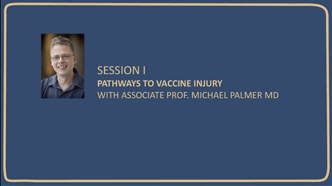 Pathways to Vaccine Injury with Associate Prof. Michael Palmer MD