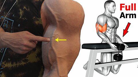 Full Arm Workout - 12 exercises to make your arms Big and perfect | Dr Gravity tech