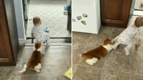 The Cat holds the child's clothes and he dragging it