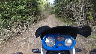 BMW F650GS in the Woods with a Wee Wreck