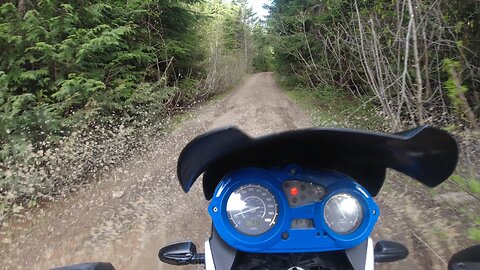 BMW F650GS in the Woods with a Wee Wreck