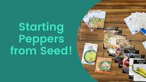 How To Start Peppers From Seed!