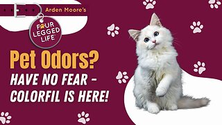 Pet Odors? Have No Fear!