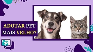 5 MOTIVOS para ADOTAR um PET MAIS VELHO / ADOTAR Cachorro e Gato Adulto?