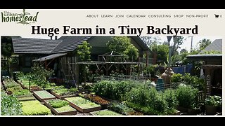 Huge farm in a tiny backyard