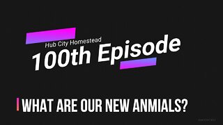 100th episode - What animals are we getting on the homestead?