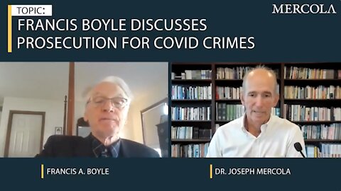 Francis Boyle - Roadmap for prosecuting Covid Crimes