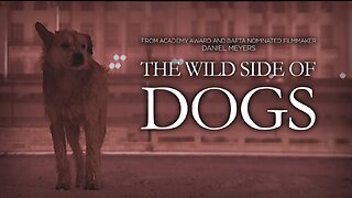 An animal documentary unlike any you have seen before The Wild Side of Dogs Full Film