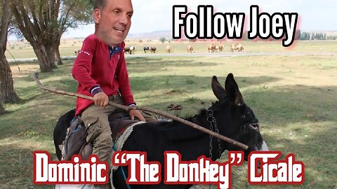 Dominic The Donkey Follow Joey Pt 1 #mobrat #mafiarat #bonannorat