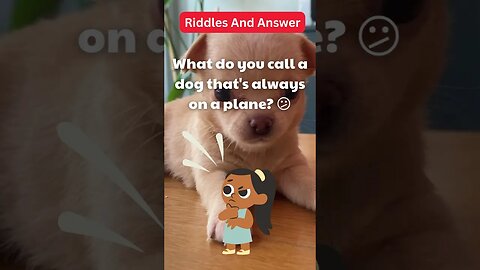 Dogs Riddle | Dogs Riddles in English | Riddles with Answer | Hard riddles | EP 43 #shorts