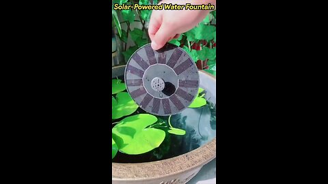 Amazon solar fountain