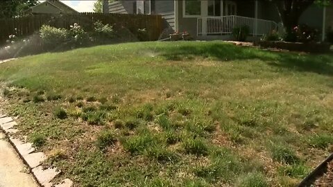New water conservation proposal in Aurora would limit use of natural grass