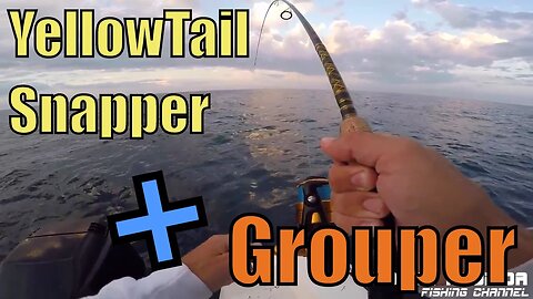 Yellowtail Snapper & Grouper Fishing - Key Largo Florida