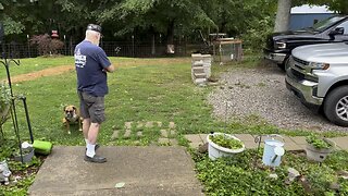 Limb Crushes Fence & Gate ⛈️ Chamberlin Family Farms #storm #damage #farming #homesteading