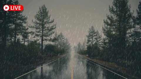 🔴Relaxing Rain On Road | Light Rain on Empty Street, Soothing Rain, White Noise, Deep Sleep