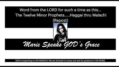 Word from the Lord for such a time as this: The Twelve Minor Prophets.....Haggai thru Malachi