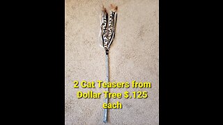 Fishing Pole Cat Teaser Hack