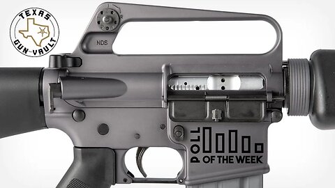 REUPLOAD - TGV Poll Question of the Week #41: Do you like the retro clone firearms?