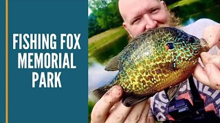 Pond Fishing For Bass and Sunfish / First Time Fishing Fox Memorial Park / Kid Friendly Fishing Spot