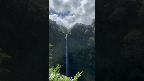 Akaka Falls State Park | Big Island Hawaii #shorts #short