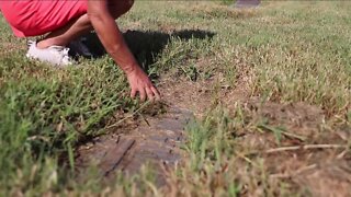 Bradenton family outraged over cemetery condition