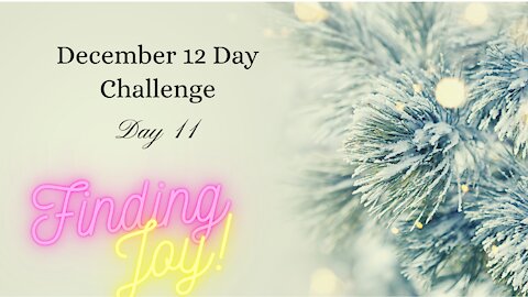 December 12 Day Challenge - Day 11