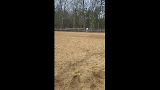 Part Time Cowboy and Cody running a mounted shooting pattern.