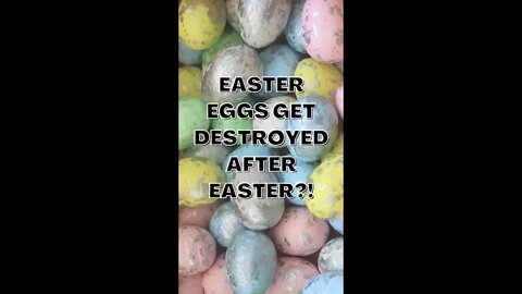 Easter eggs get destroyed after Easter?! #Shorts #Easter