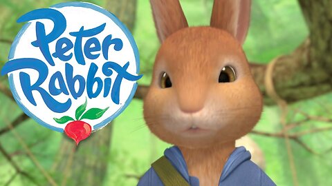 Peter Rabbit - Pass the test