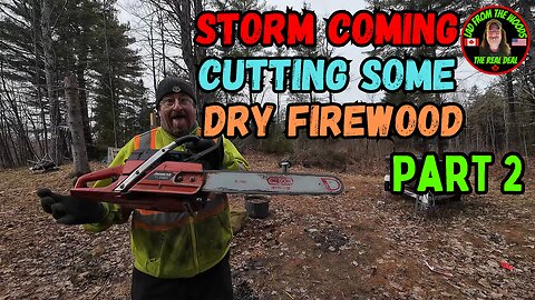 03-20-24 | Storm Coming Cutting Some DRY Firewood | Pt.2