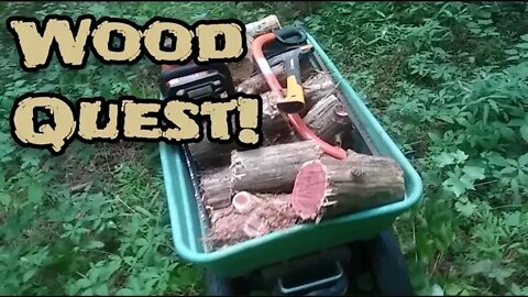 Wood Quest - Ann's Tiny Life and Homestead