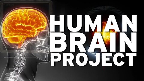 Your digital twin: The Human Brain Project
