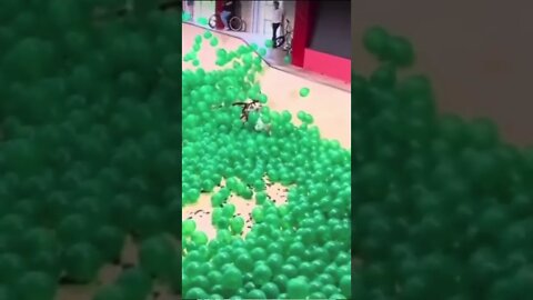 BMX RIDER vs BALLOON RAMP🎈😳 #short