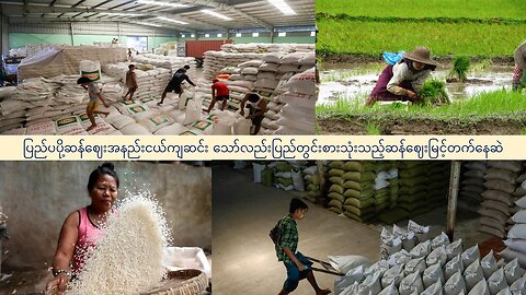 ပြည်ပပို့ဆန်ဈေးအနည်းငယ်ကျဆင်း သော်လည်းပြည်တွင်းစားသုံးသည့်ဆန်ဈေးမြင့်တက်နေဆဲ