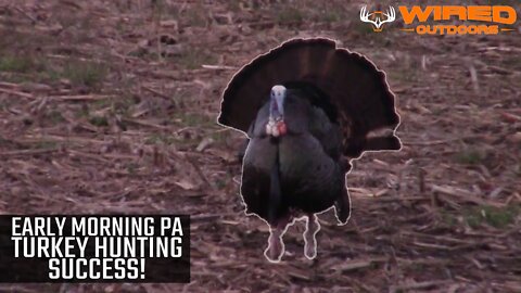 2020 - Early Morning PA Turkey Hunting Success!