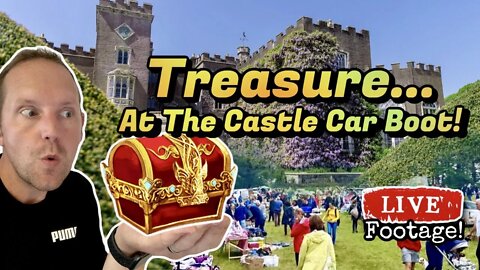 Powderham Castle Car Boot Sale | Buying Selling & Hidden Treasure! | eBay Reseller