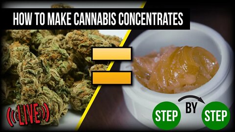 HOW TO MAKE CANNABIS CONCENTRATES LIVE AT 4PM PST