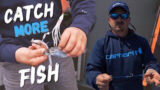 Tip That Leaves A Scent To Catch More Fish