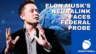 Elon Musk’s Neuralink faces federal probe, employee backlash over animal tests